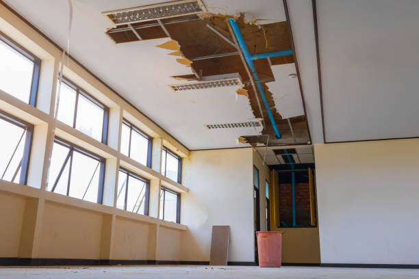 Best Carpet water damage restoration  in Hilliard, FL