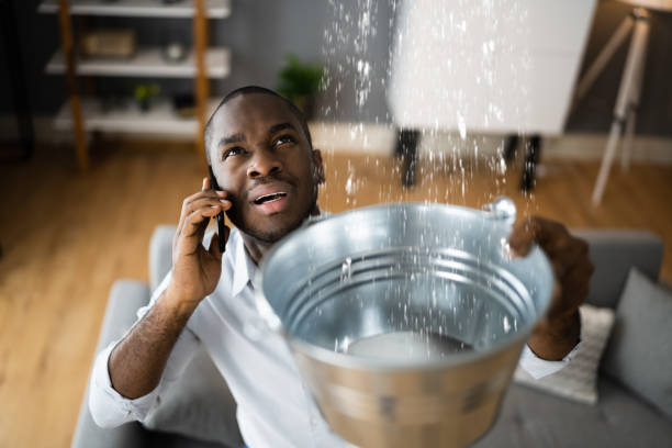 Best Professional water damage repair  in Hilliard, FL