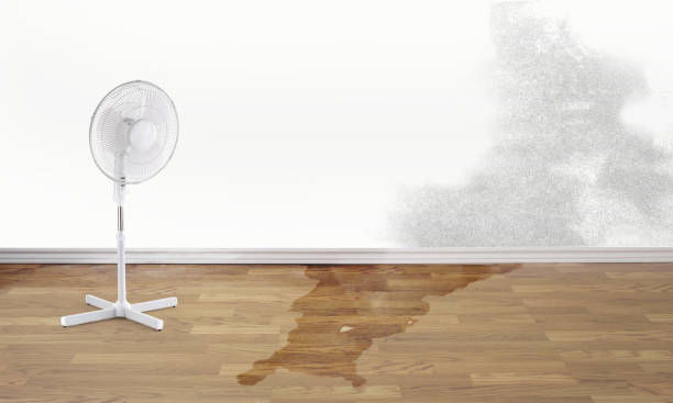 24/7 water damage repair in Hilliard, FL