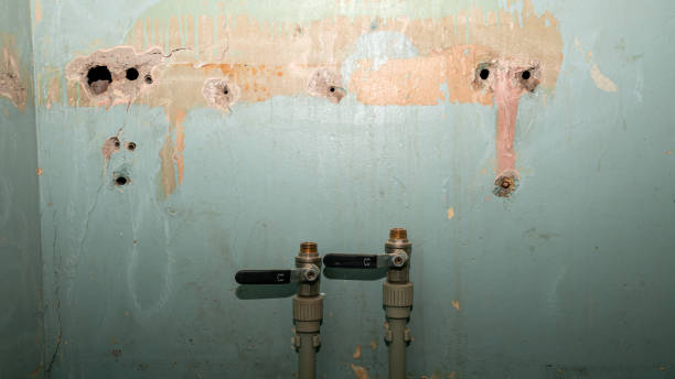 Best Water damage restoration near me  in Hilliard, FL