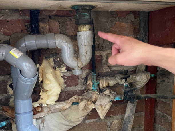 Best Professional water damage repair  in Hilliard, FL