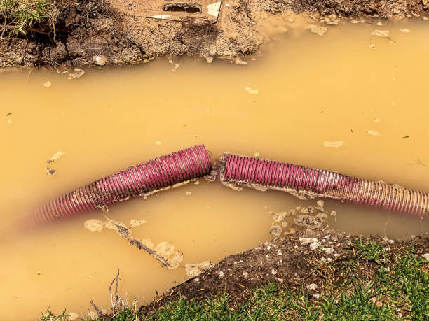 Best Local water damage restoration  in Hilliard, FL